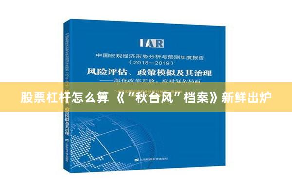 股票杠杆怎么算 《“秋台风”档案》新鲜出炉