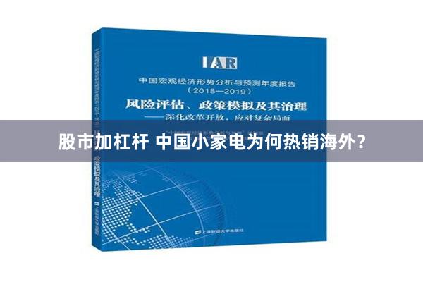 股市加杠杆 中国小家电为何热销海外？