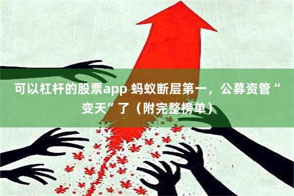 可以杠杆的股票app 蚂蚁断层第一，公募资管“变天”了（附完整榜单）