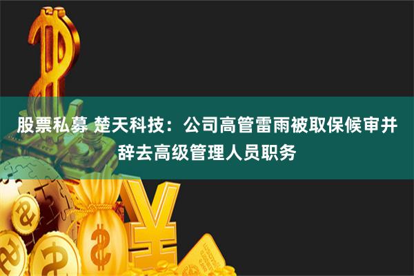 股票私募 楚天科技：公司高管雷雨被取保候审并辞去高级管理人员职务