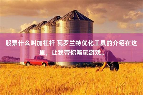 股票什么叫加杠杆 瓦罗兰特优化工具的介绍在这里，让我带你畅玩游戏。