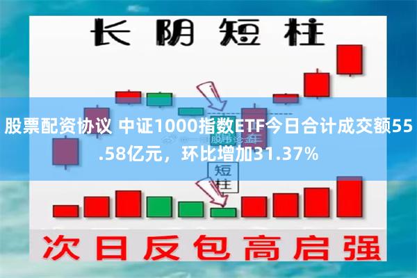 股票配资协议 中证1000指数ETF今日合计成交额55.58亿元，环比增加31.37%