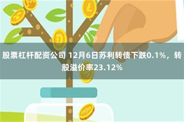 股票杠杆配资公司 12月6日苏利转债下跌0.1%，转股溢价率23.12%