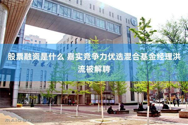 股票融资是什么 嘉实竞争力优选混合基金经理洪流被解聘