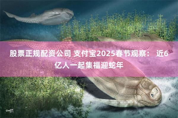 股票正规配资公司 支付宝2025春节观察： 近6亿人一起集福迎蛇年