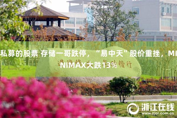 私募的股票 存储一哥跌停，“易中天”股价重挫，MINIMAX大跌13%