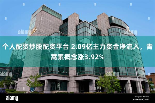 个人配资炒股配资平台 2.09亿主力资金净流入，青蒿素概念涨3.92%