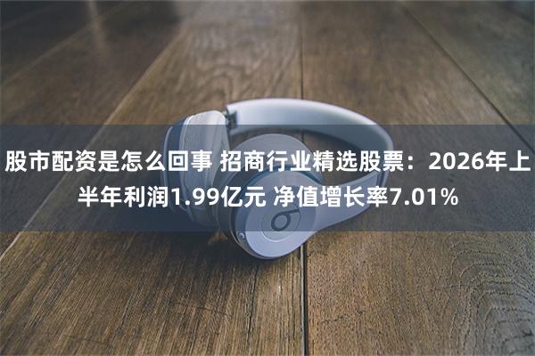 股市配资是怎么回事 招商行业精选股票：2026年上半年利润1.99亿元 净值增长率7.01%