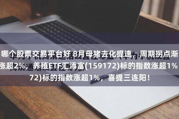哪个股票交易平台好 8月母猪去化提速，周期拐点渐近？牧原股份涨超2%，养殖ETF汇添富(159172)标的指数涨超1%，喜提三连阳！